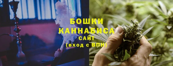 молекула духа Белокуриха