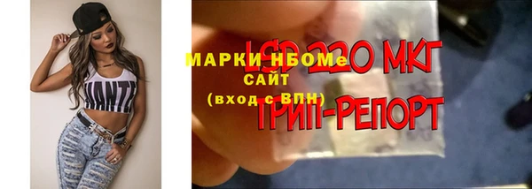 молекула духа Белокуриха