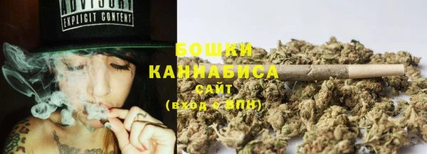 молекула духа Белокуриха