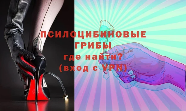 молекула духа Белокуриха