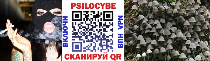 наркота  Верхний Тагил  Псилоцибиновые грибы Psilocybe 